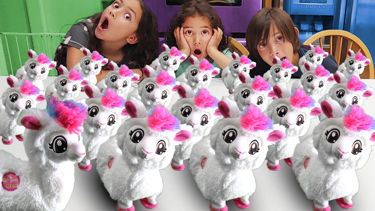 50 Dancing Llamas? Boppi Song and Dance