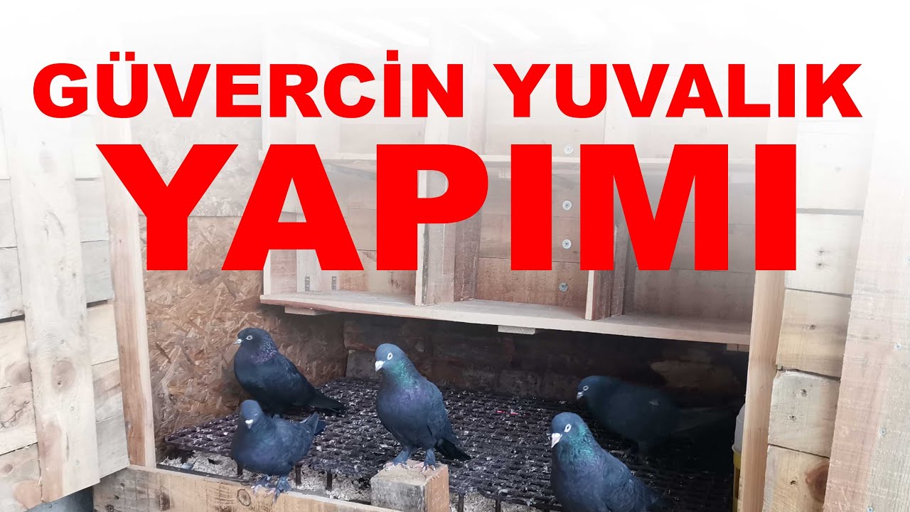 Çam Kerestesinden Güvercin Folluk , Yuvalık Yapımı .Nasıl Yapılır?