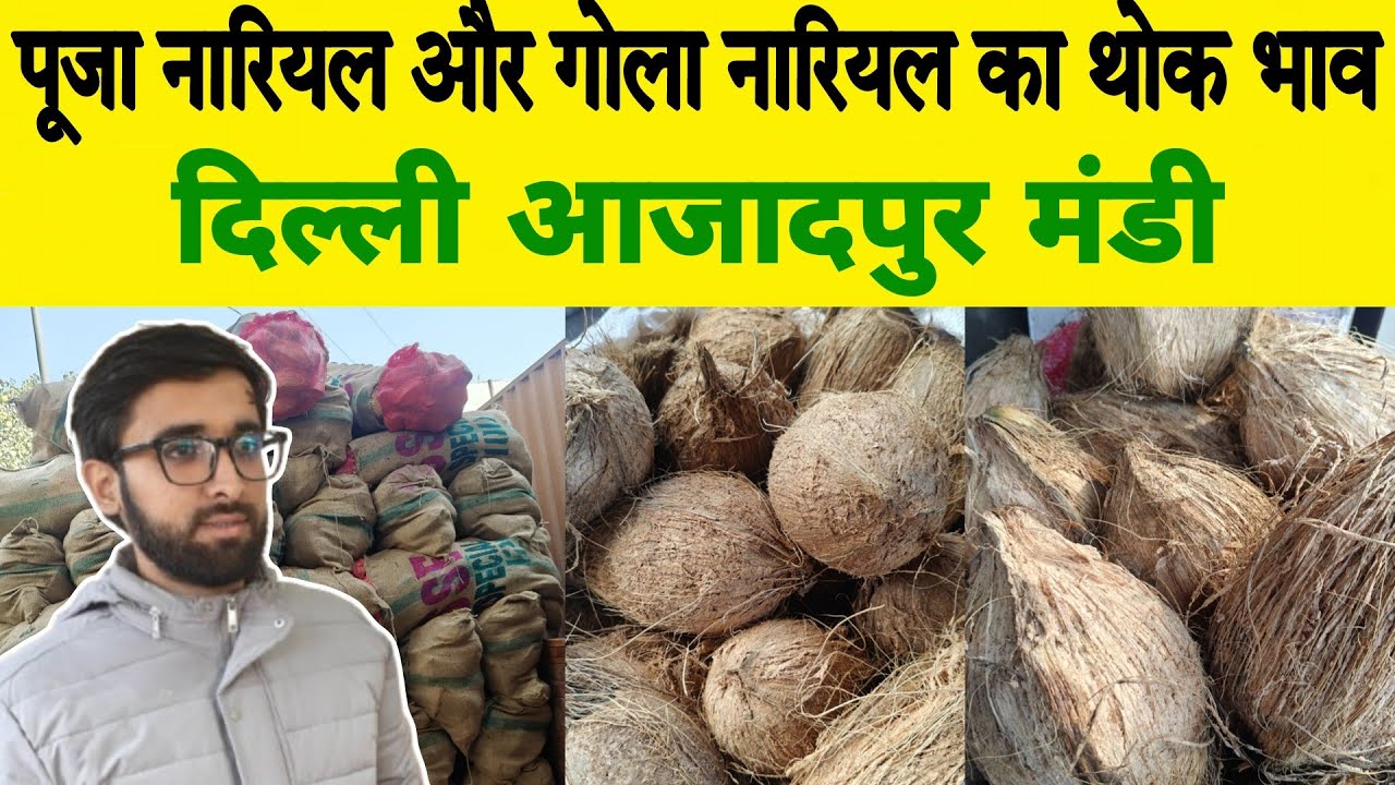 पूजा नारियल और गोला नारियल के थोक भाव | Wholesale Rates of Pooja Coconut and Gola Coconut
