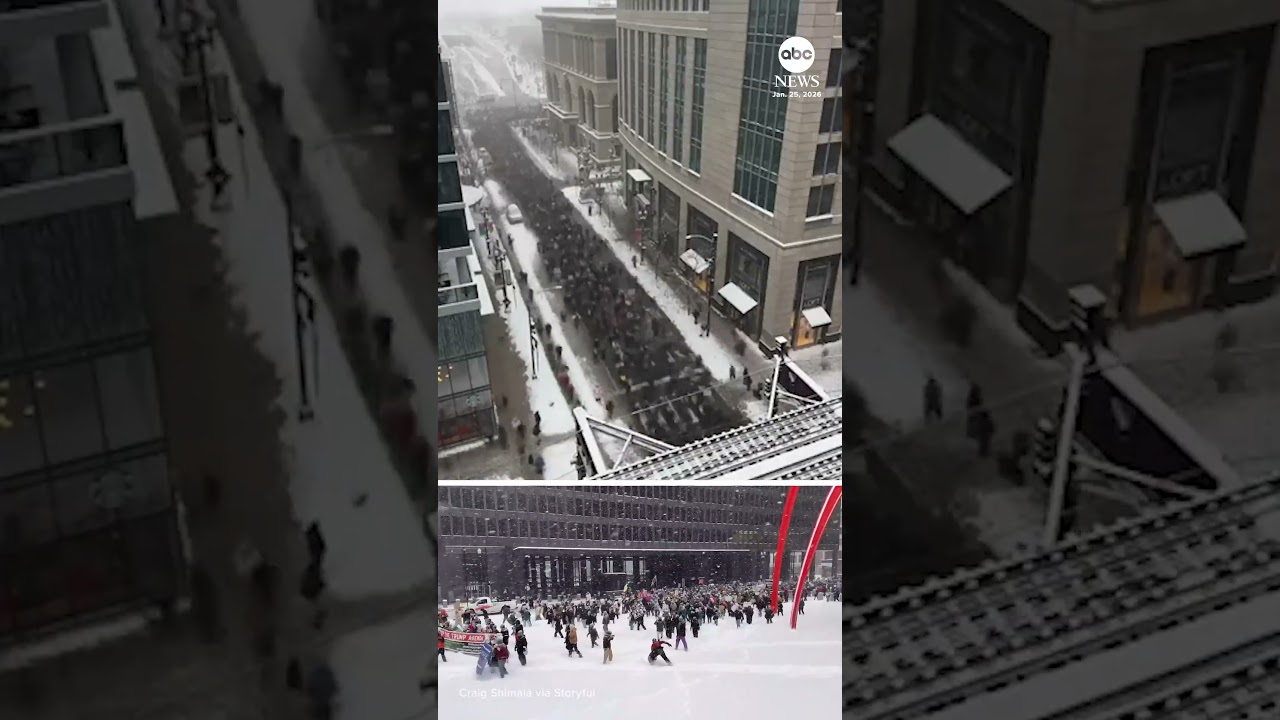 Anti-ICE protesters march through snowy Chicago