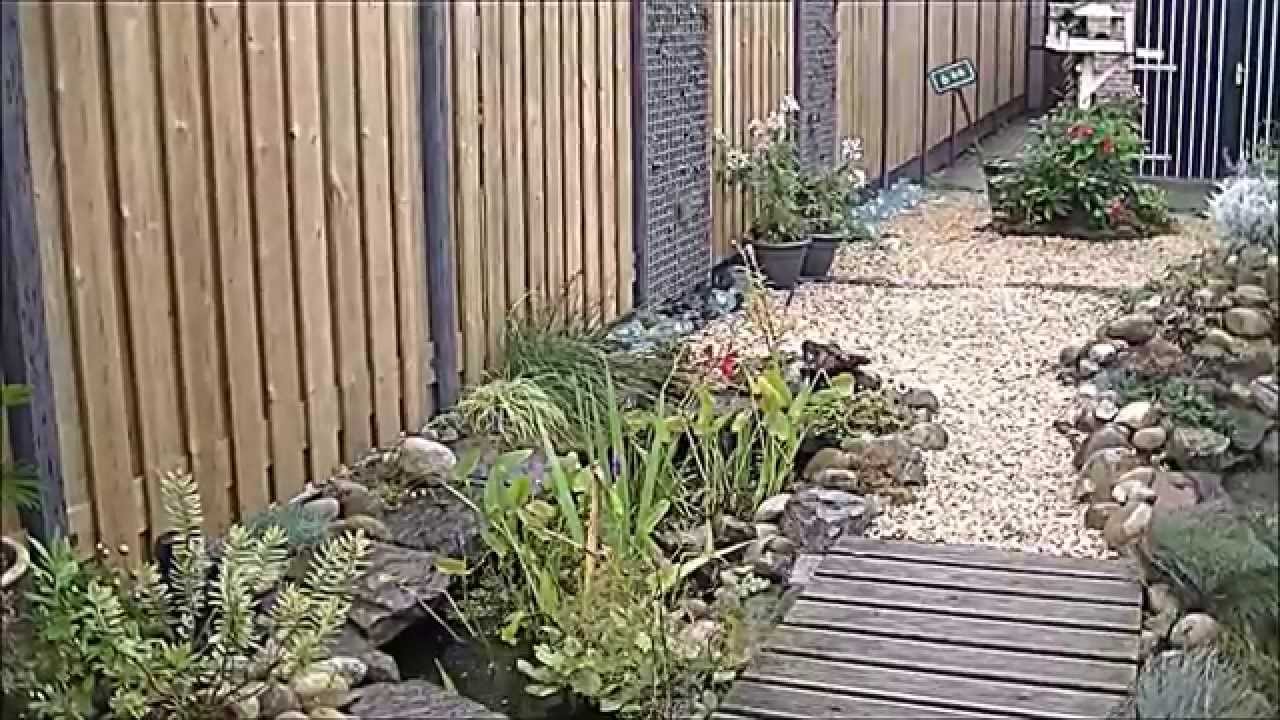 Garden, pond and fence  summer update 2015