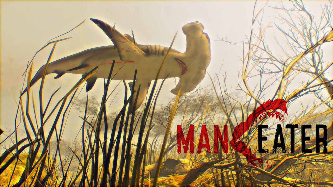 Maneater - Hammerhead shark in freshwater