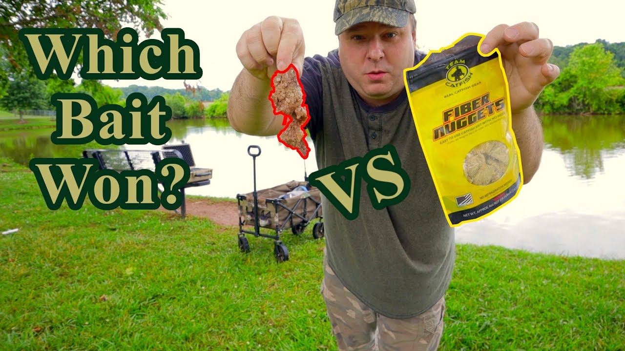 Fishing Bait Challenge: Chicken Liver vs Fiber Nuggets