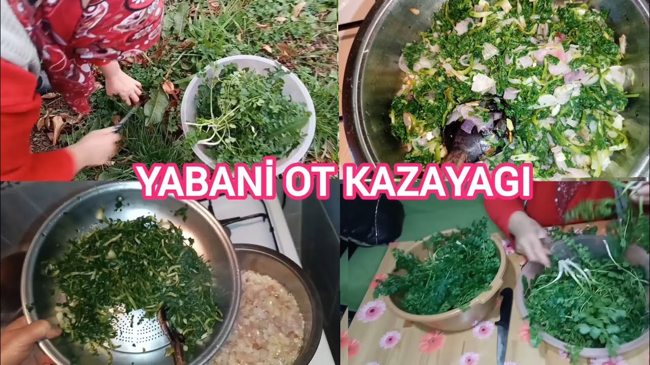 Yabani Ot Yemekleri - Kazayağı Otu Kavurması