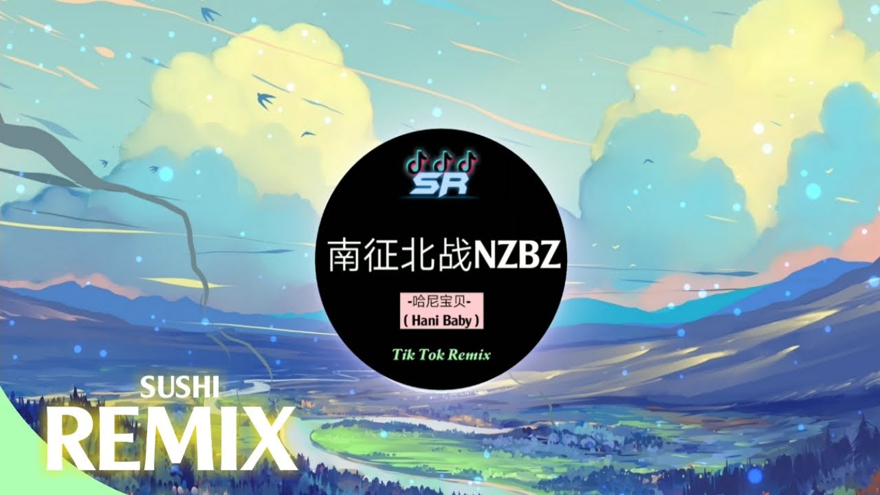 南征北战NZBZ - 哈尼宝贝 (Hani Baby) | Tik Tok | 抖音 Douyin | Bài hát hot Tik Tok Trung Quốc.