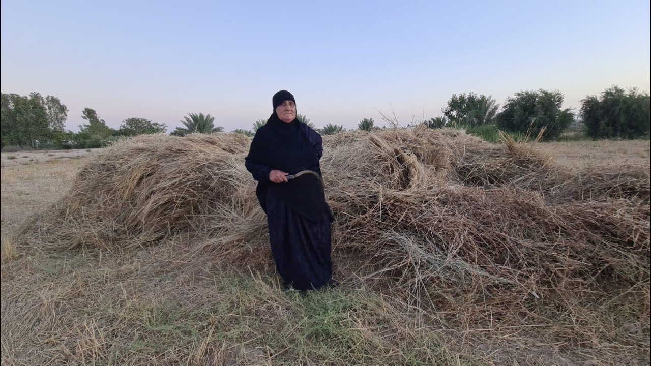 #العراقية_الأصيلة عمل و جهاد و كفاح و تأريخ مشرف  الحلقة الاولى أم ماجد