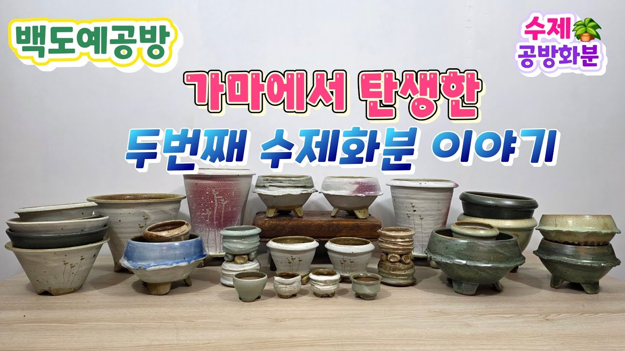 20260311(288회 영상)수제화분 탄생✨️ 두번째 이야기🤗🪴#수제화분#공방화분 #야생화화분#다육화분#아프리카식물 #희귀식물#선인장#분갈이화분#솟대화분  #롱분#가마솥화분#식재