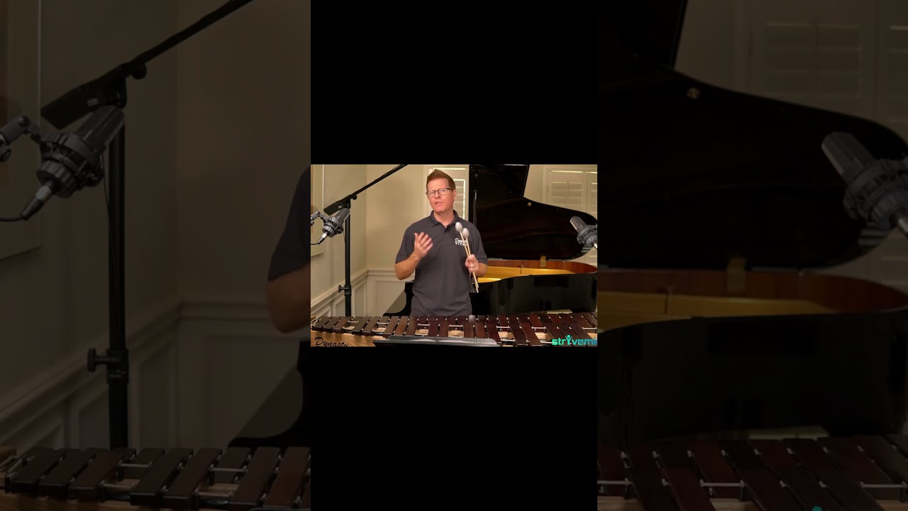 Two Mallet Tutorial and Performance of Excerpt 1 Part 12