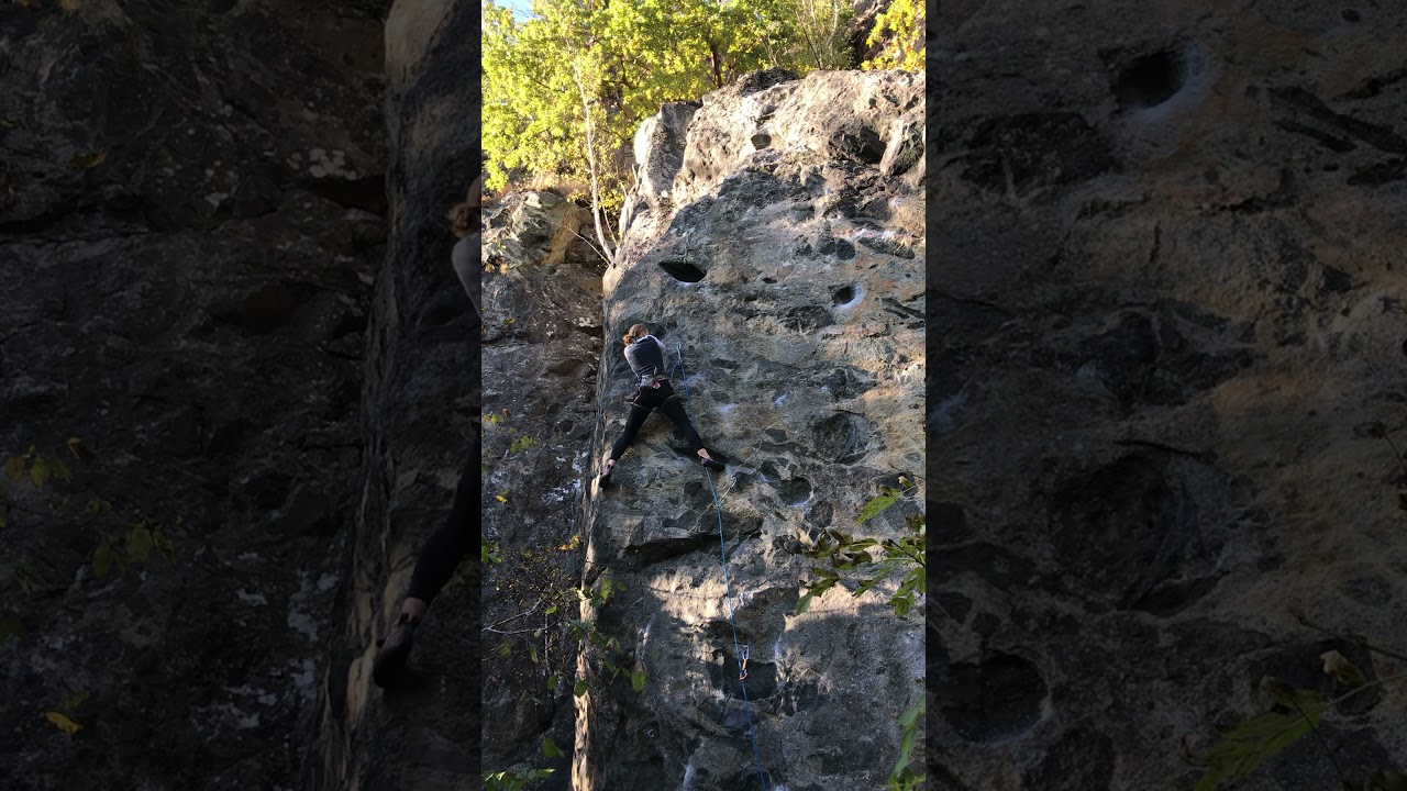 Rabies, Fjällbo, 7a