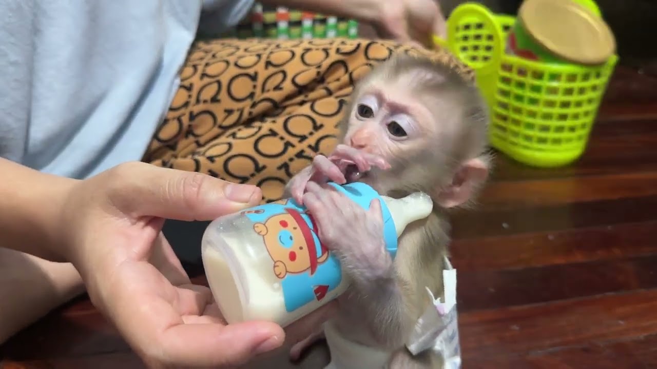 Mummy take care baby in the morning so lovely 🥰 boy 