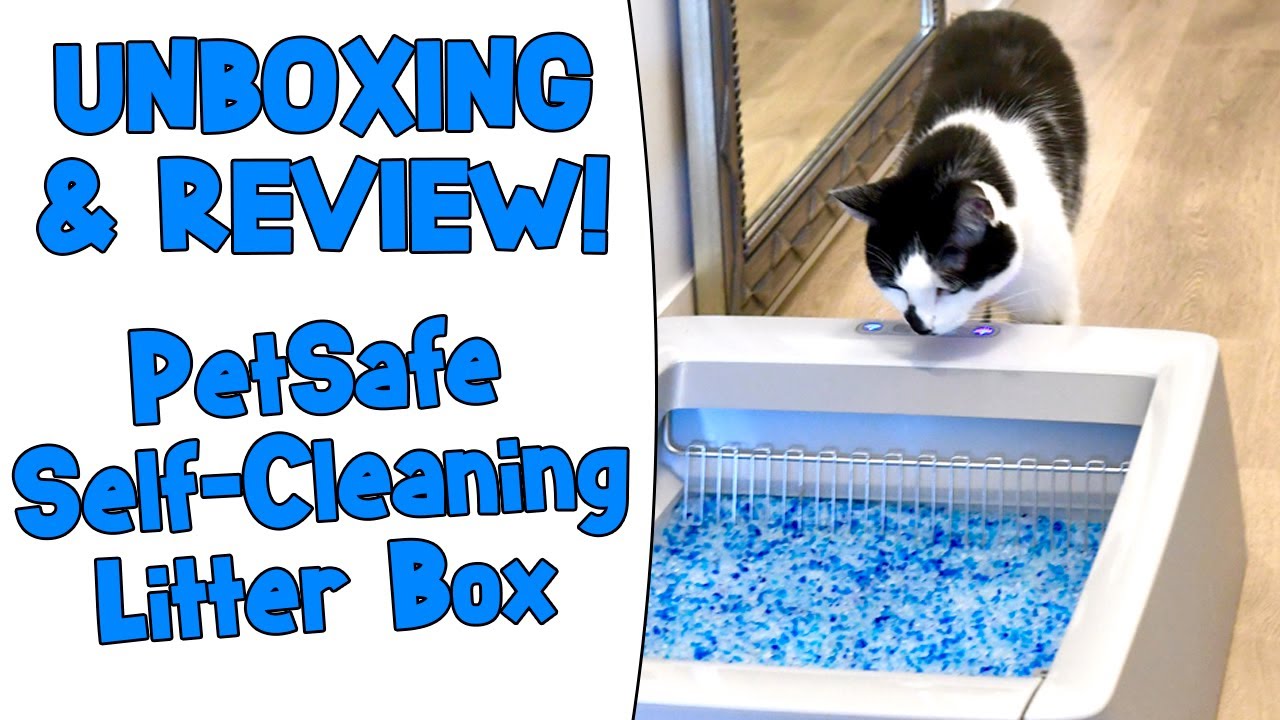 PetSafe ScoopFree Automatic Litter Box Review