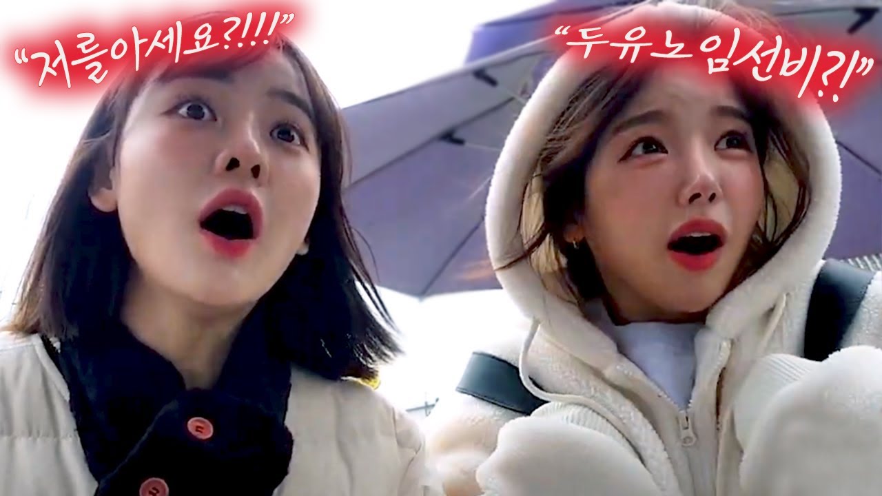 경주 한 가운데서 두유 노 임선비를 외치다..!