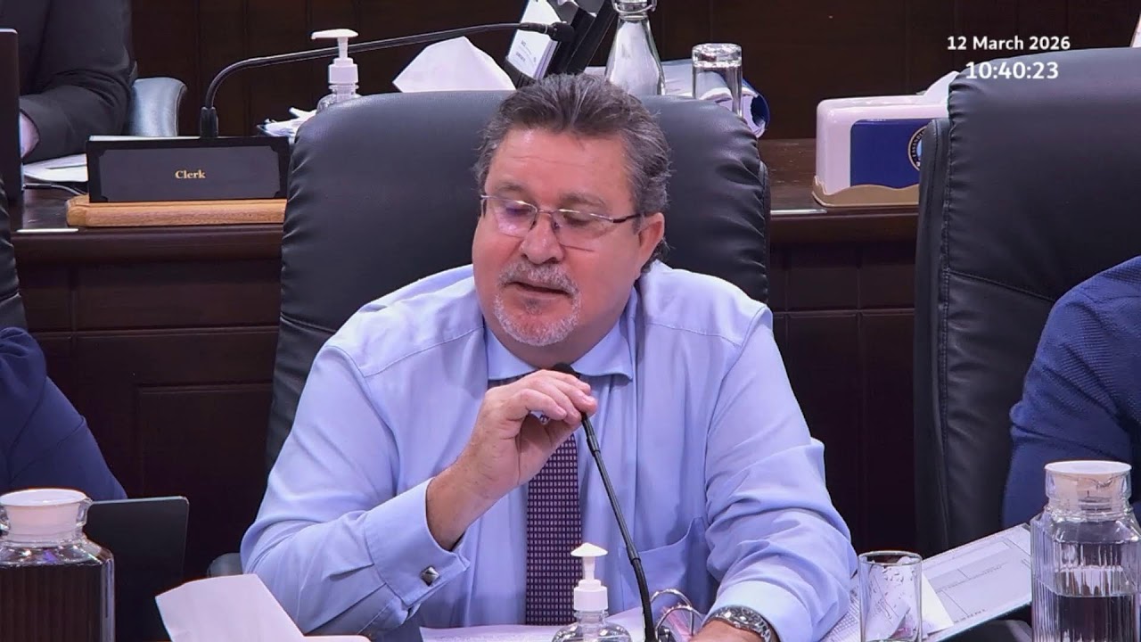 Budget 2026 Committee Stage - Sitting Thursday 12 March 2026 Part 1