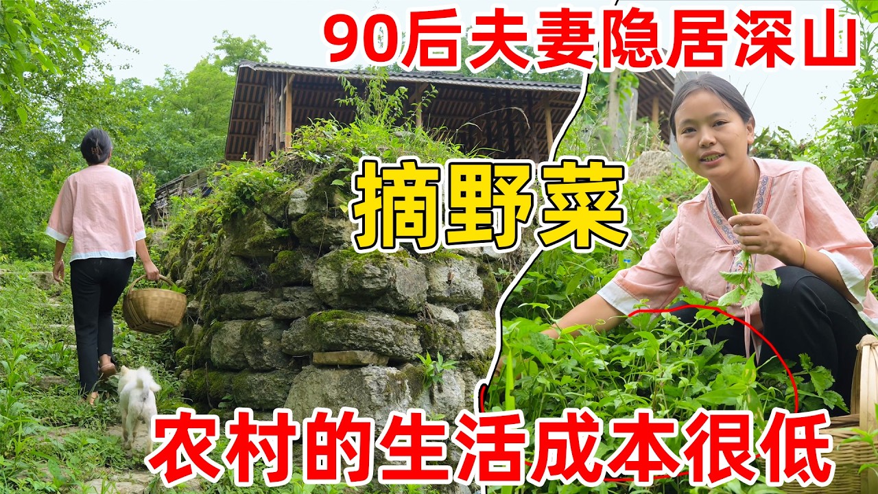 90后一家人的隐居生活，家里没有菜吃了，老婆到山上随便一转就有吃不完的野菜