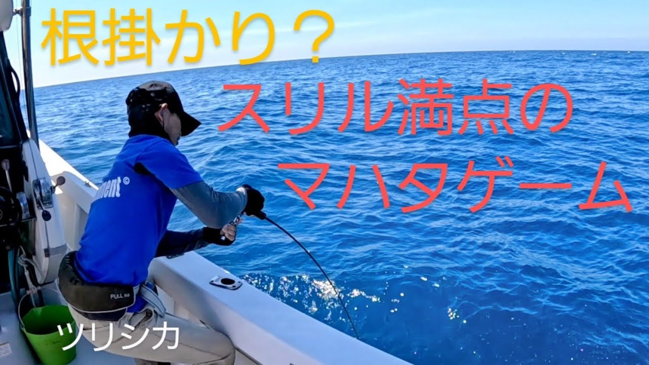 根掛かり？これって魚‼️　スリル満点のマハタゲーム　　　　　ツリシカ