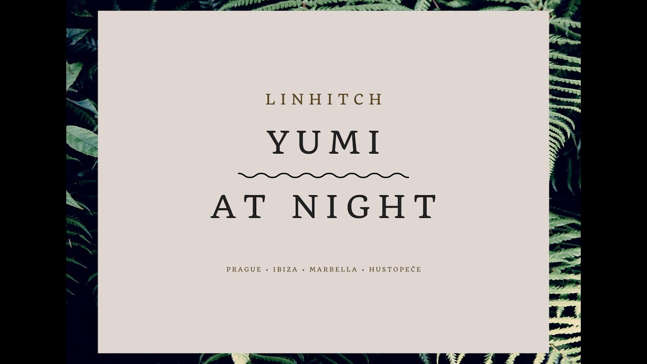 Notre dame - Yumi  X At Night (LINHITCH Edit)