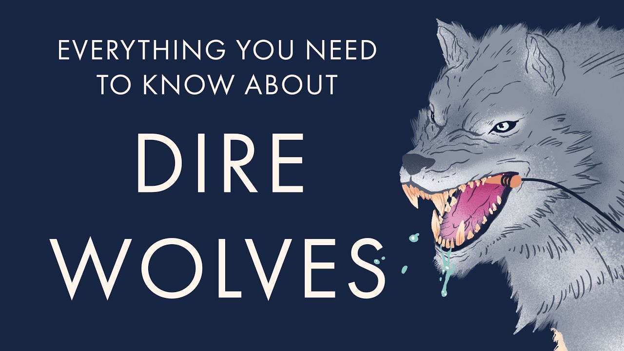 Are your DnD creatures DIRE enough?