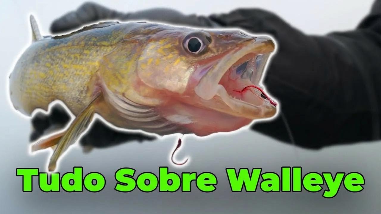 O Guia Completo de Pesca de Walleye: Dicas de Equipamentos, Varas e Técnicas Infalíveis