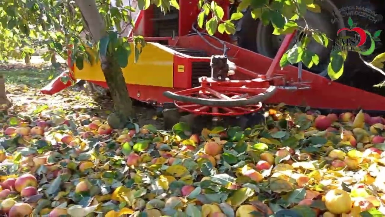 Zbiór mechaniczny jabłek przemysłowych, kombajn do spadów SARA apple harvester, récolteuse de pommes