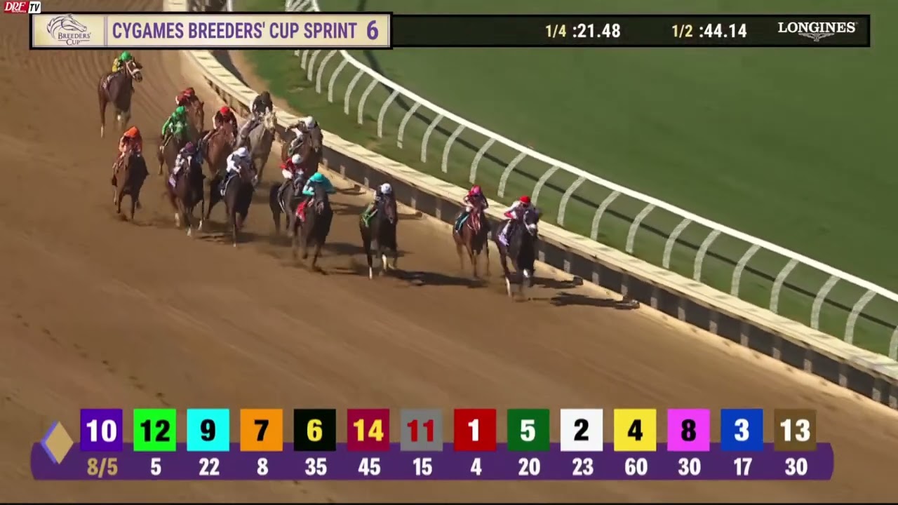 Bentornato (Valiant Minister) - Cygames Breeders' Cup Sprint G1 ($2,000,000) - Del Mar