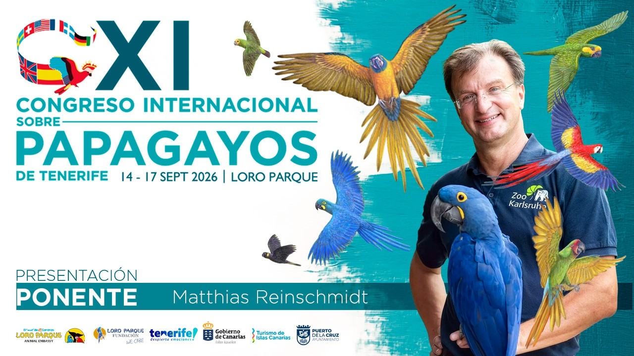 008 Congreso Papagayos Podcast - Matthias Reinschmidt