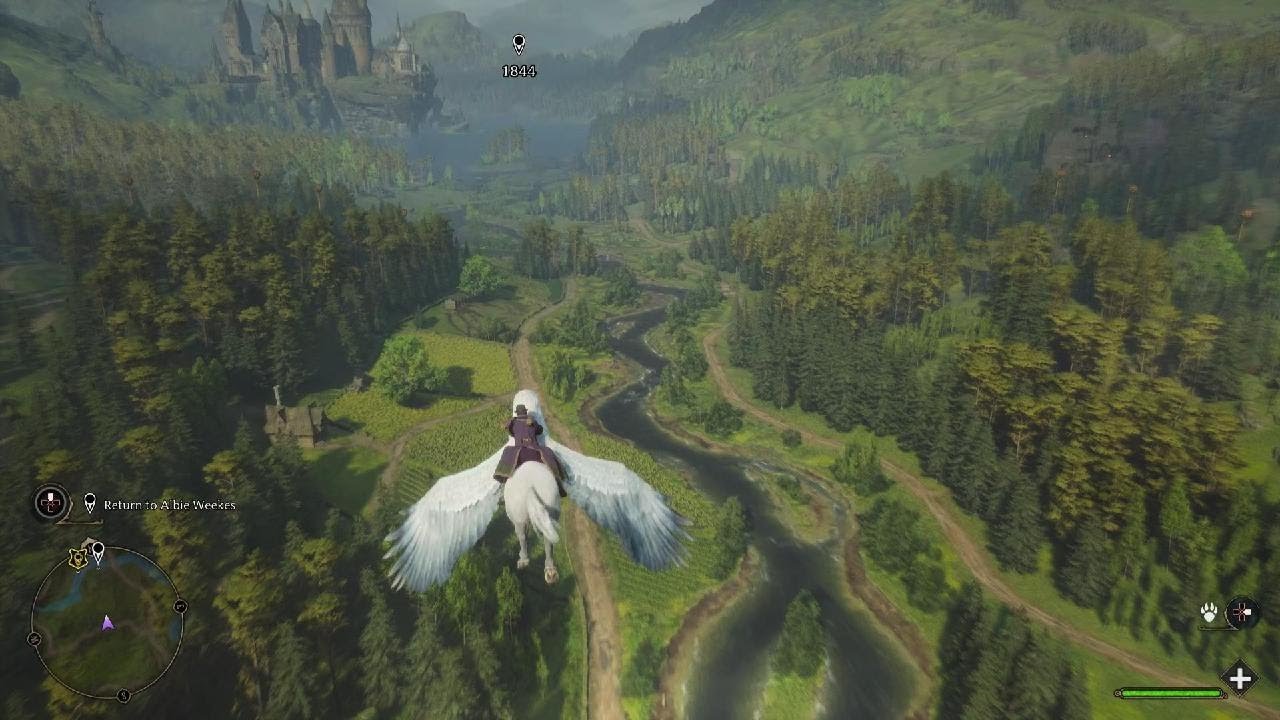 #highwing#takingastroll#beautifulview#hogwarts#followformorevids