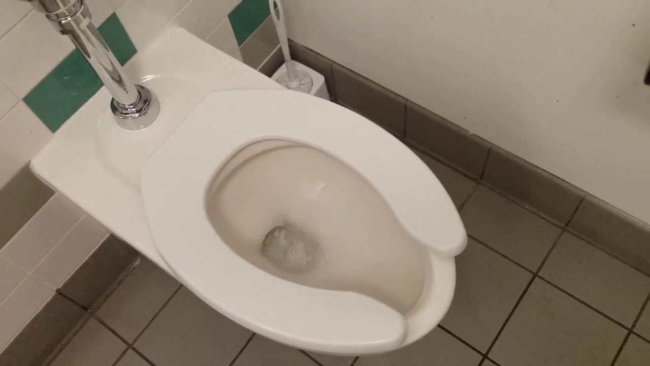 Toilet & Elevator Tour: John Stewart Memorial Library Wilson College - Chambersburg, Pennsylvania