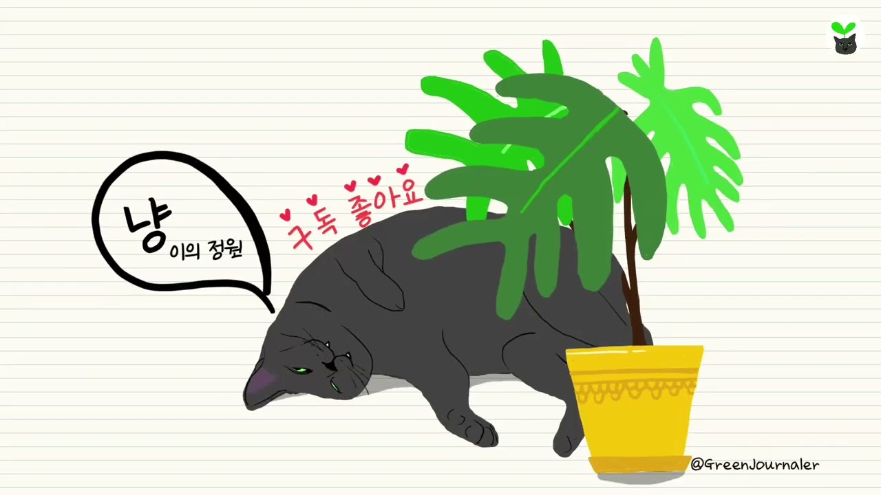 왜 갈수록 뾰족해질까｜호프셀렘 잎의 진화