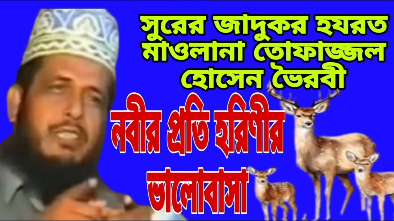 নবীর প্রতি  জংগলার!! মাওলানা তোফাজ্জল হোসেন ভৈরবী!!