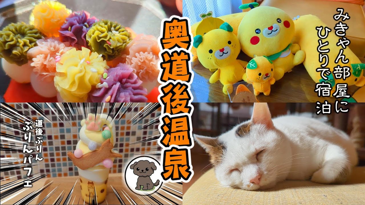 【愛媛 奥道後】猫と鯛めしと「みきゃん」のひとり旅 道後温泉で猫たちと遊んだ後は、みきゃんルームで一夜を過ごす