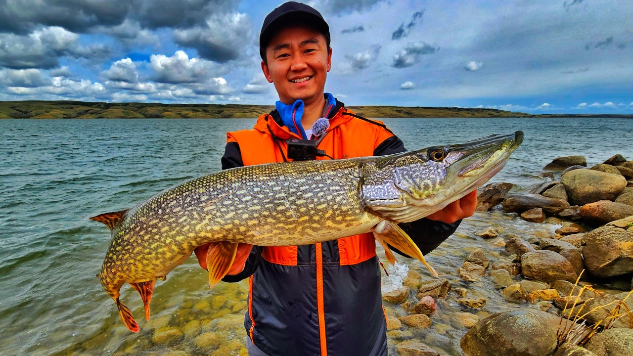 Opening Day Northern Pike Shore Fishing (Buffalo Pound Provincial Park)