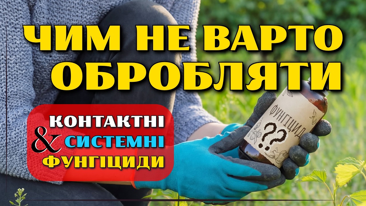 ЧОМУ СИСТЕМНІ ФУНГІЦИДИ НЕ СПРАЦЮЮТЬ ДО РОЗПУСКАННЯ БРУНЬОК?
