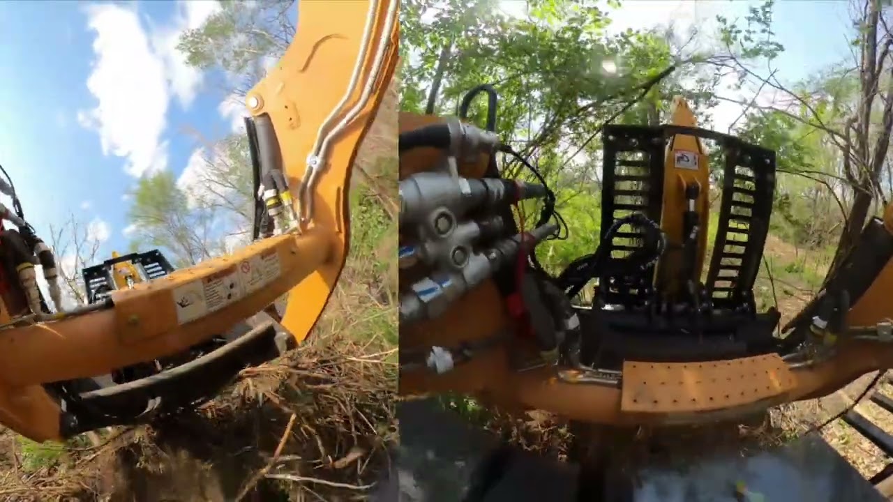 Intimidator XL from Danuser Pulling Trees