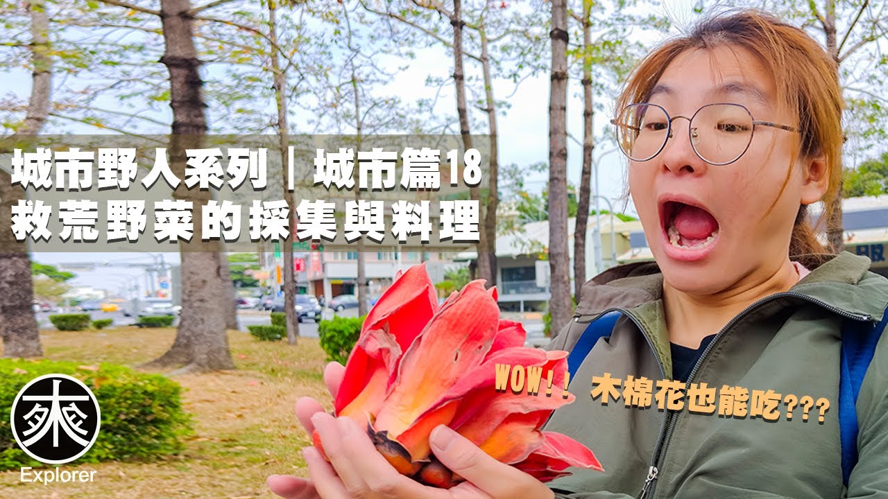 台灣野菜採集與料理18，木棉花、羊蹄甲、鬼苦苣菜、翅果菊、野茼蒿、蓮子草、樹豆、一枝香、匙葉鼠麴草、皺葉萵苣，探路者城市野人｜救荒野菜採集-城市篇第18集