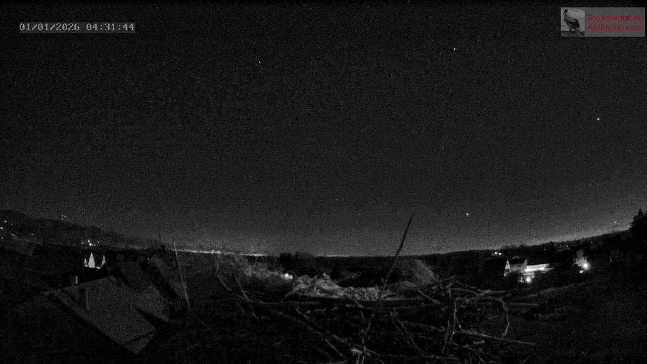 Livestream von Storchenblick Kollmarsreute