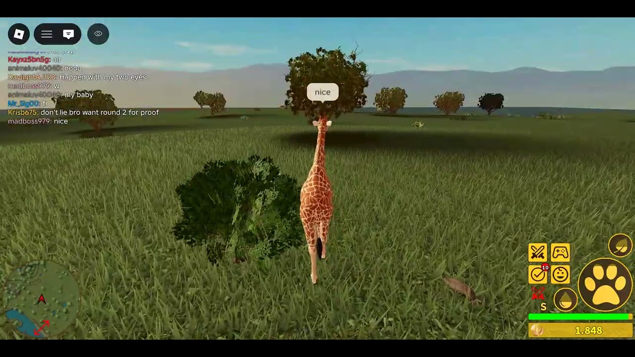 savana life!! kossing as girraffe