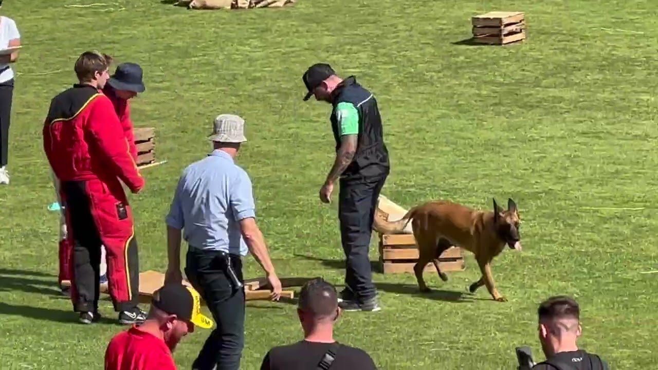 Team Brazil 2023 Mondioring World Championship MR2 Grand Prix