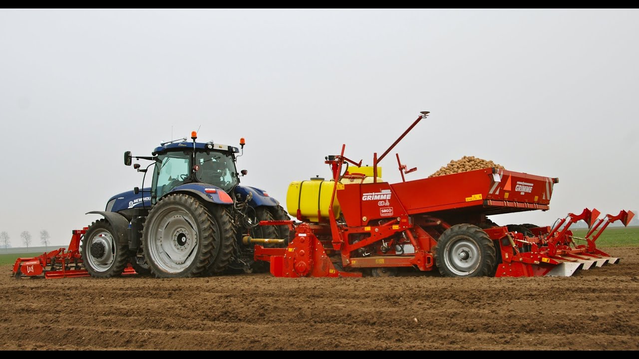 New Holland T7.220 Blue Power + Grimme GB 430 belt planter - planting potatoes
