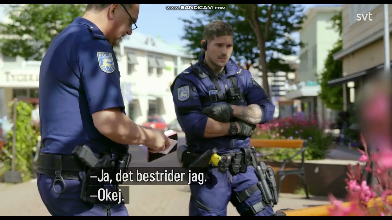 ålandspolisen   skadegörelse i byggnad