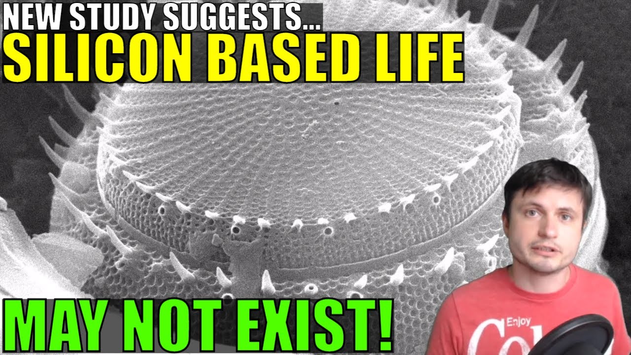 New Study Finds Silicon Based Life May Not Be Possible