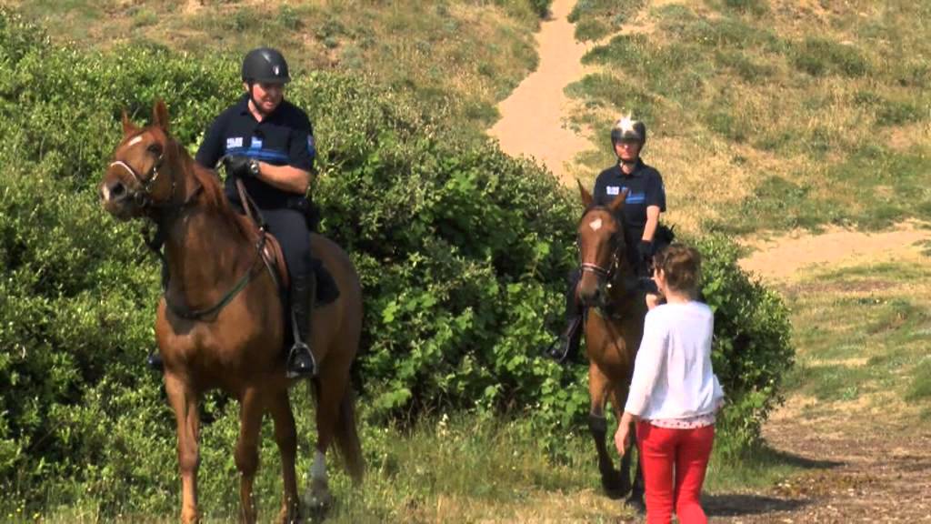 Dessine-moi un été ! Policier à cheval