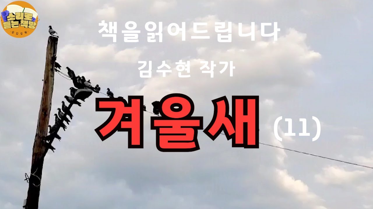 [장편소설오디오북] 겨울새(11) / 김수현작가 /수화기에서는 대답이 없었다. 