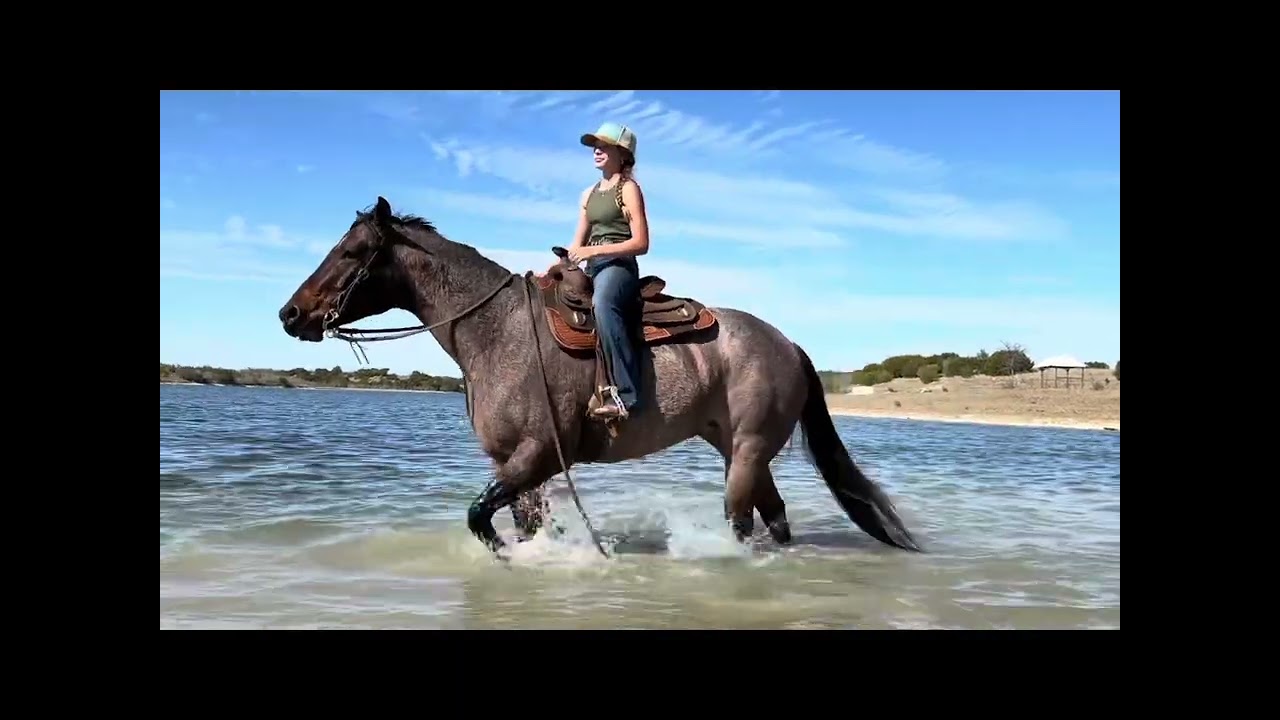 VS Dear Darla trail riding 