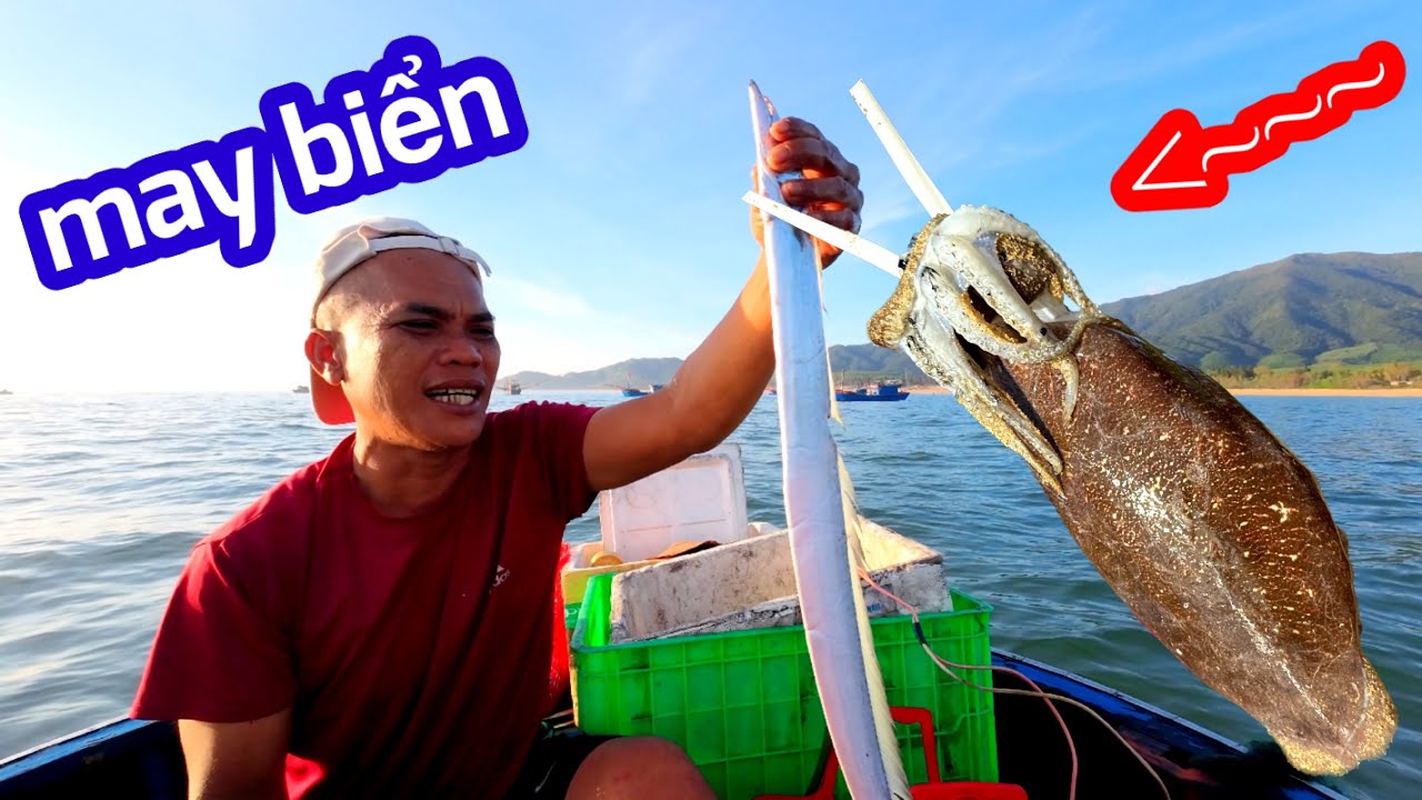 Bỏ Đồng Xuống Làng Chài Biển Ăn Toàn Đặc Sản Đậm Chất Quê | Son Duoc Vlog 146