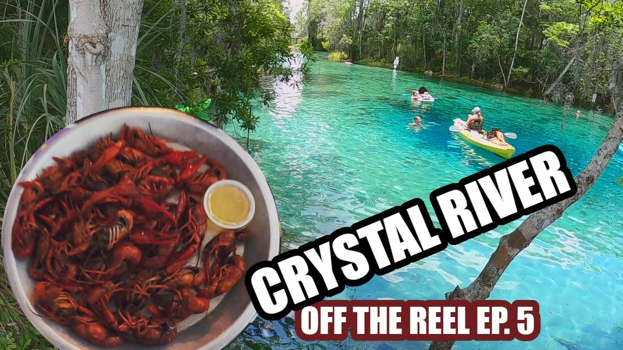 Crystal River Things To Do Other Than Fishing (Off The Reel)
