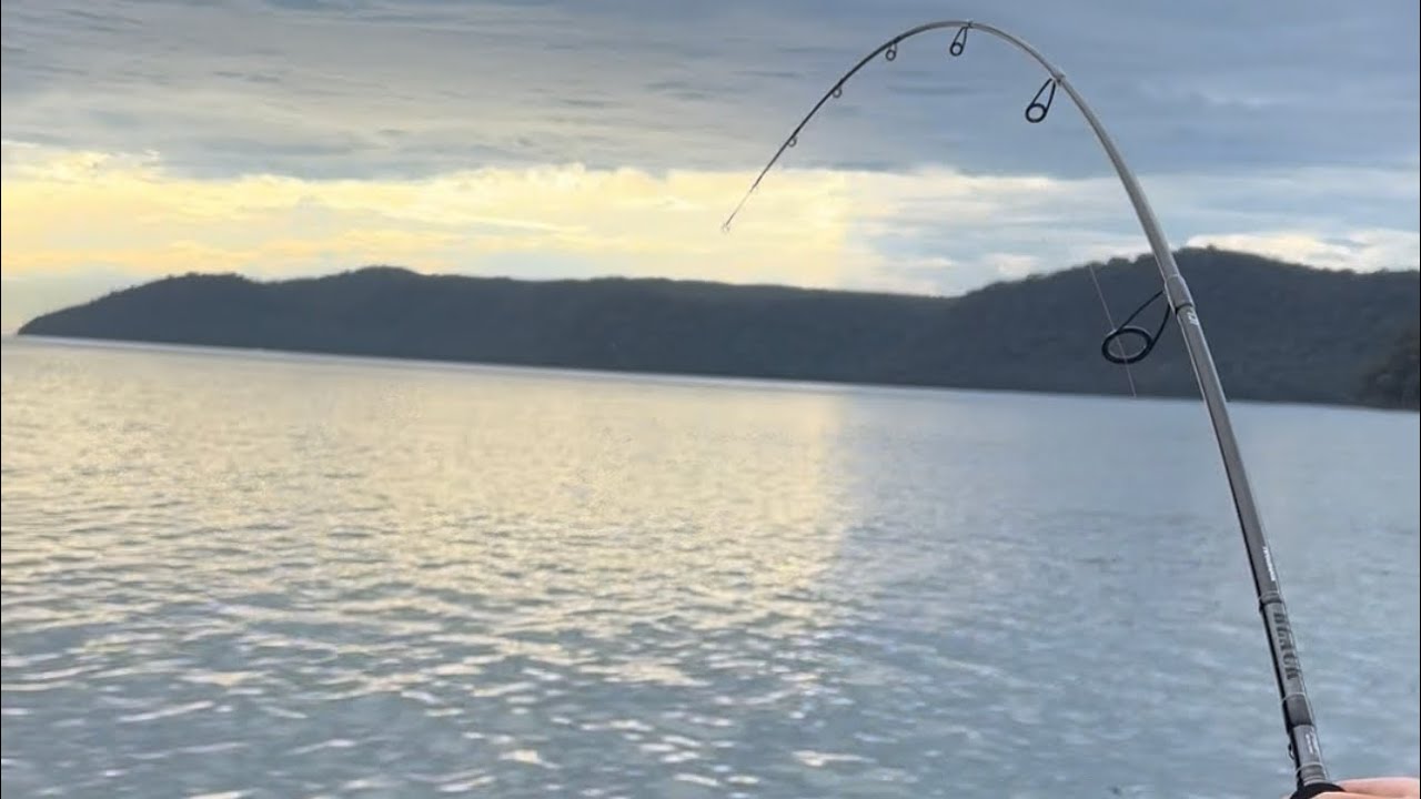 Landing a fish of a LIFETIME it’s finally paid off 😮‍💨