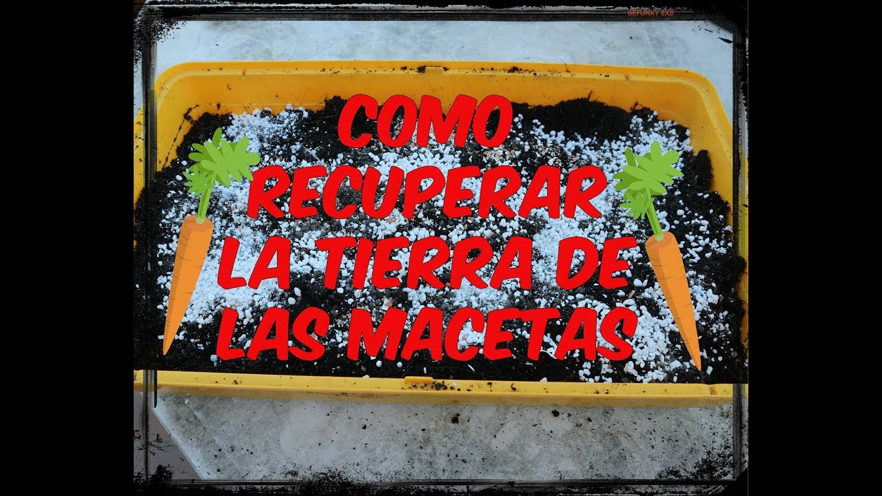 COMO RECUPERAR LA TIERRA DE LAS MACETAS    / LA TERRAZA HUERTO DE ESTEBAN