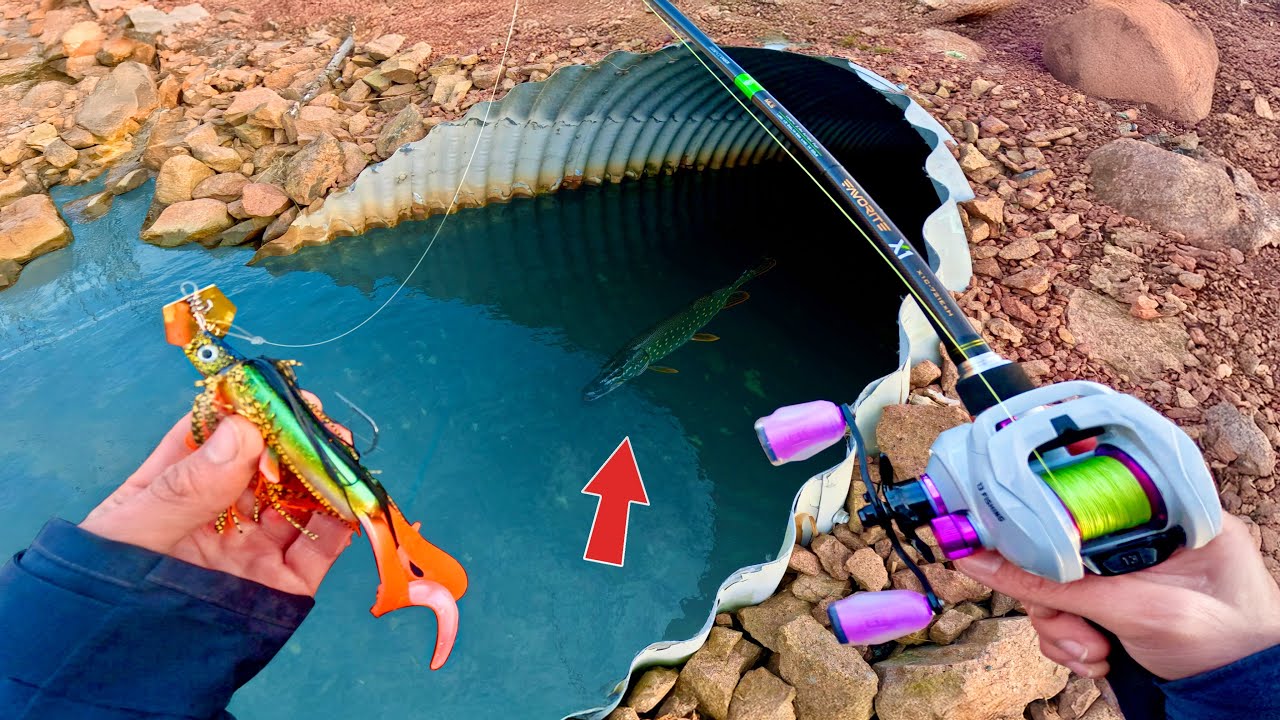 Cette vieille canalisation cache des GROS POISSONS ?(P&ecirc;che insolite au leurre)