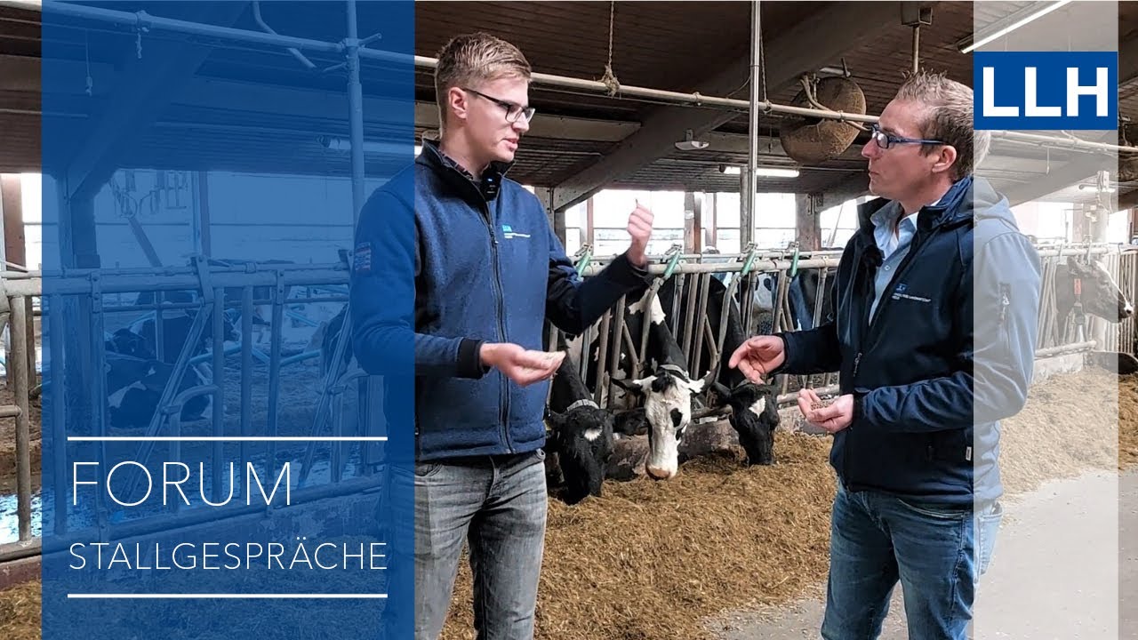Wenn die Milch nicht läuft - Die richtige Ration (Teil 2)