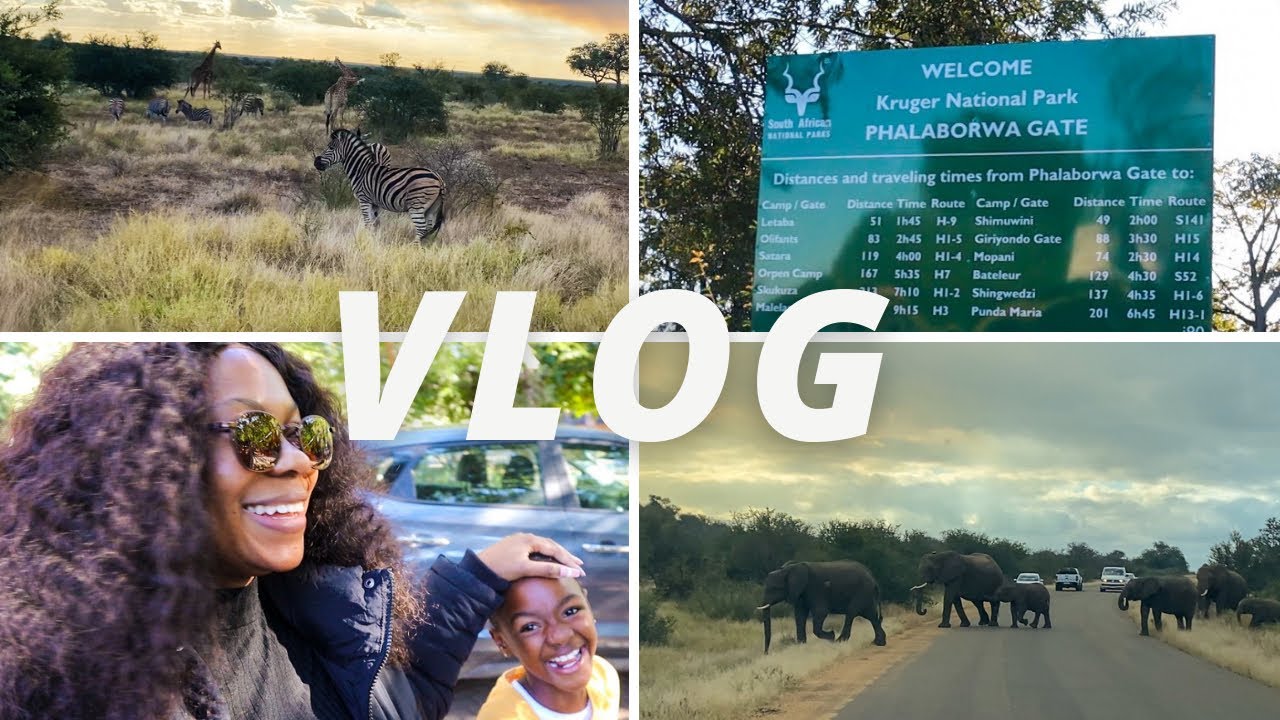 VLOG: KRUGER NATIONAL PARK | SOUTH AFRICA